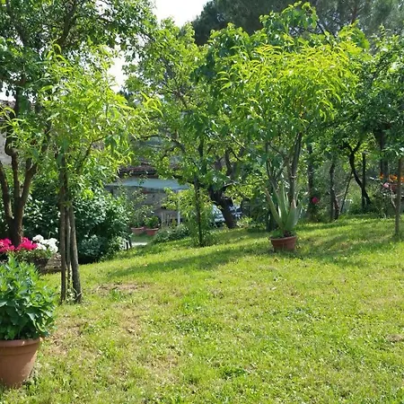 Colonica Montebeni Greve in Chianti
